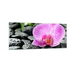 Quadro su vetro - Come un cuore aperto - 100x40 cm