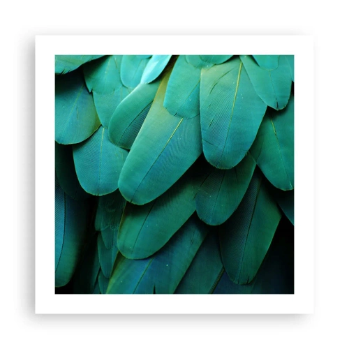 Poster - Precisione da pappagallo - 50x50 cm