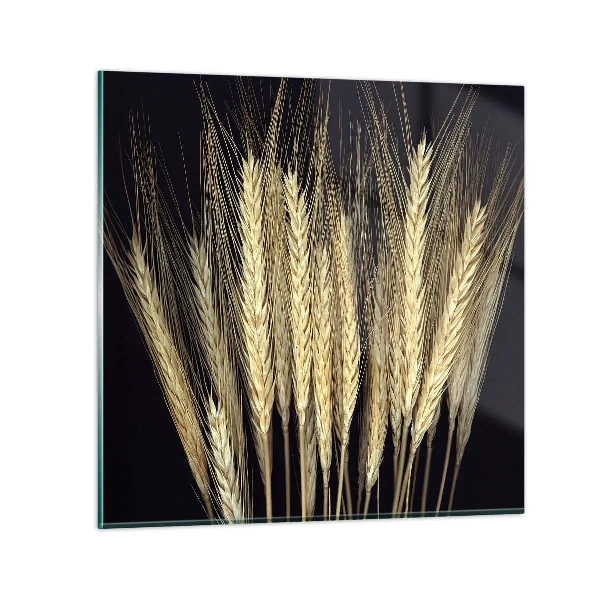 Quadro su vetro - Magia rustica - 60x60 cm