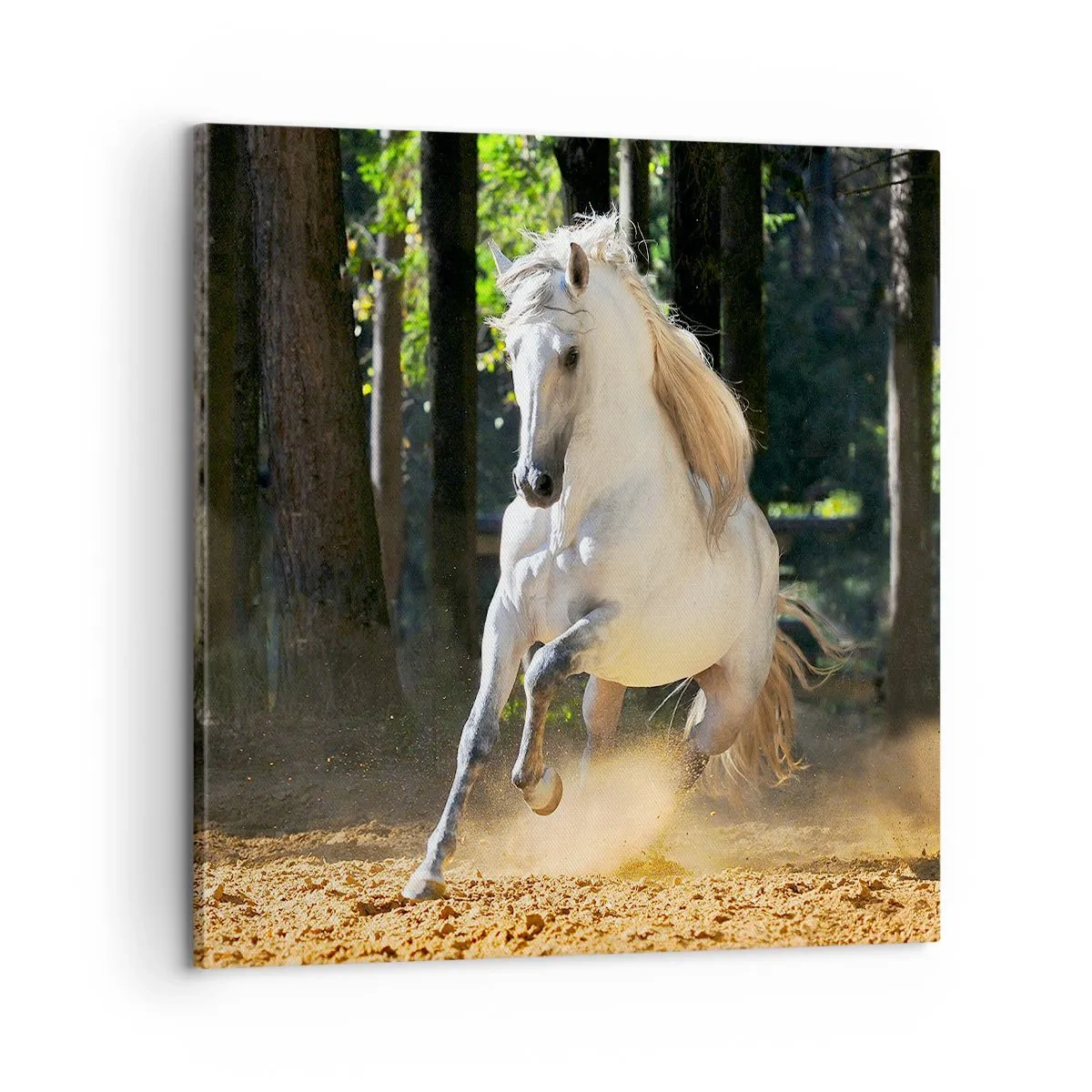 Quadro su tela - Stampe su Tela - Come nei racconti fantasy - 60x60 cm