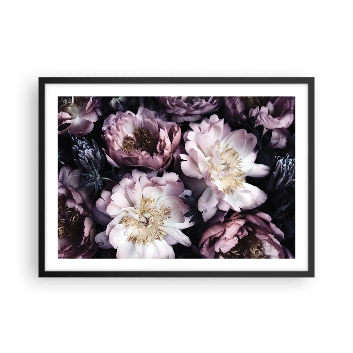 Poster in cornice nera - Fiori in delicate tonalità pastello - 70x50cm - Bouquet nel vecchio stile - Decorazione murale moderna per soggiorno e camera da letto ARTTOR