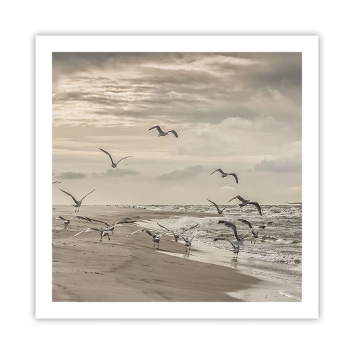 Poster - Brusio del mare, canto degli uccelli - 60x60 cm