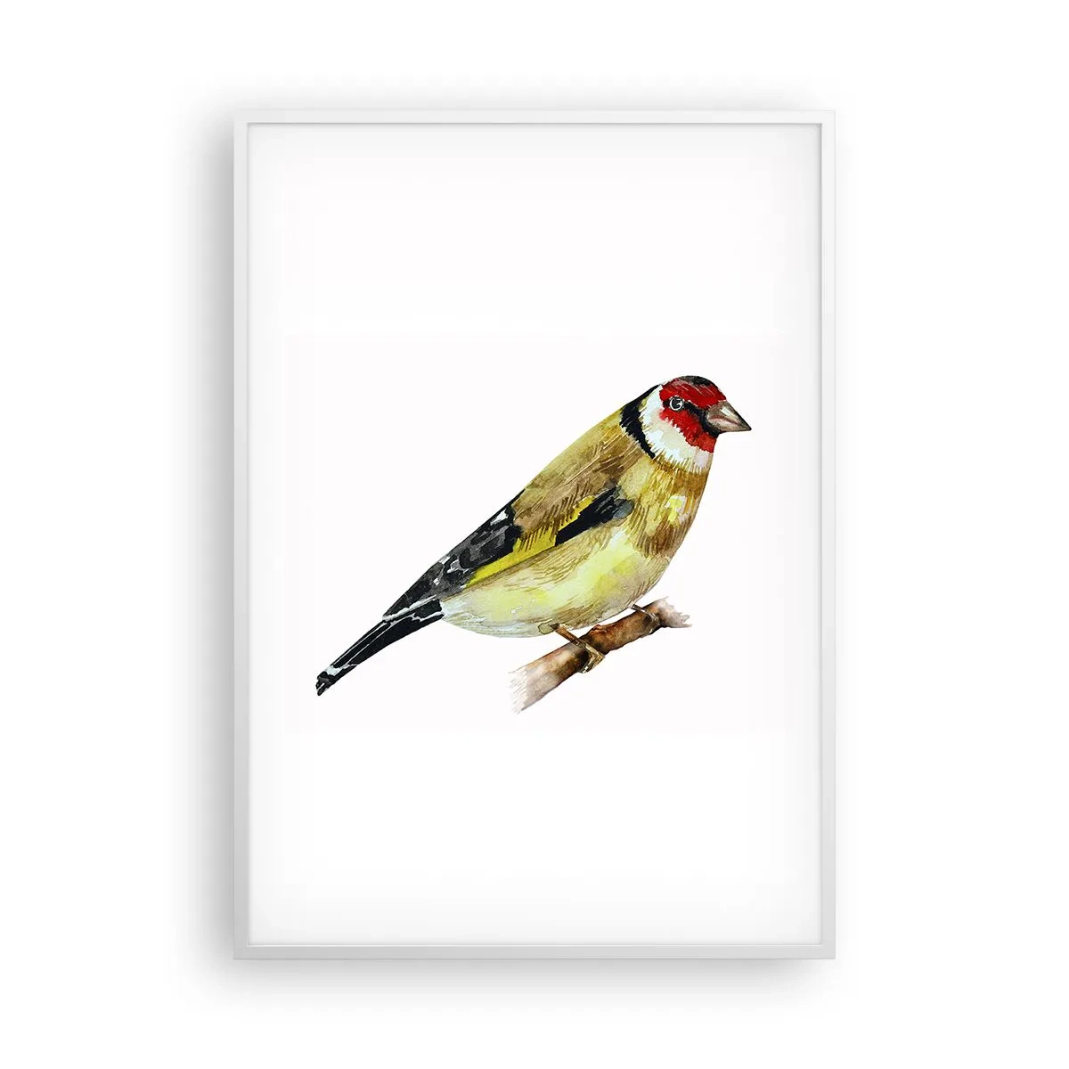 Poster in cornice bianca - Ritratto di uccello - 70x100 cm