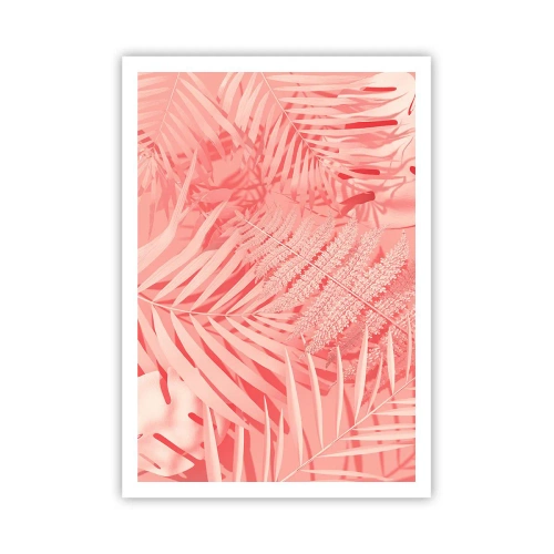 Poster - Concetto rosa - 70x100 cm