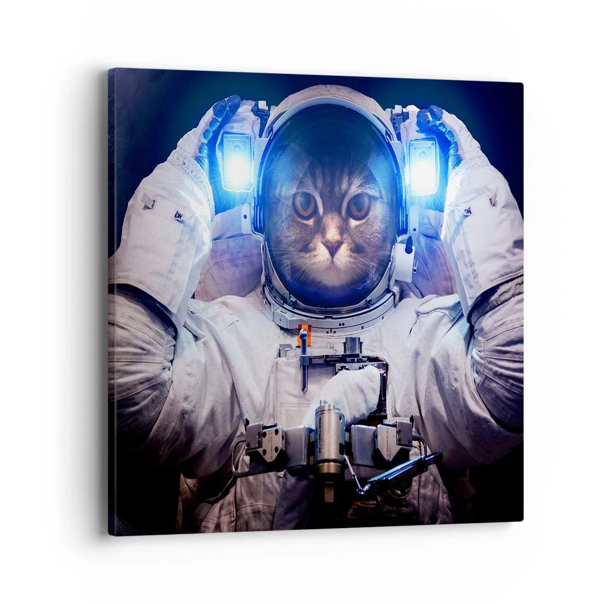 Quadro su tela - Stampe su Tela - Houston, avete un problema - 40x40 cm