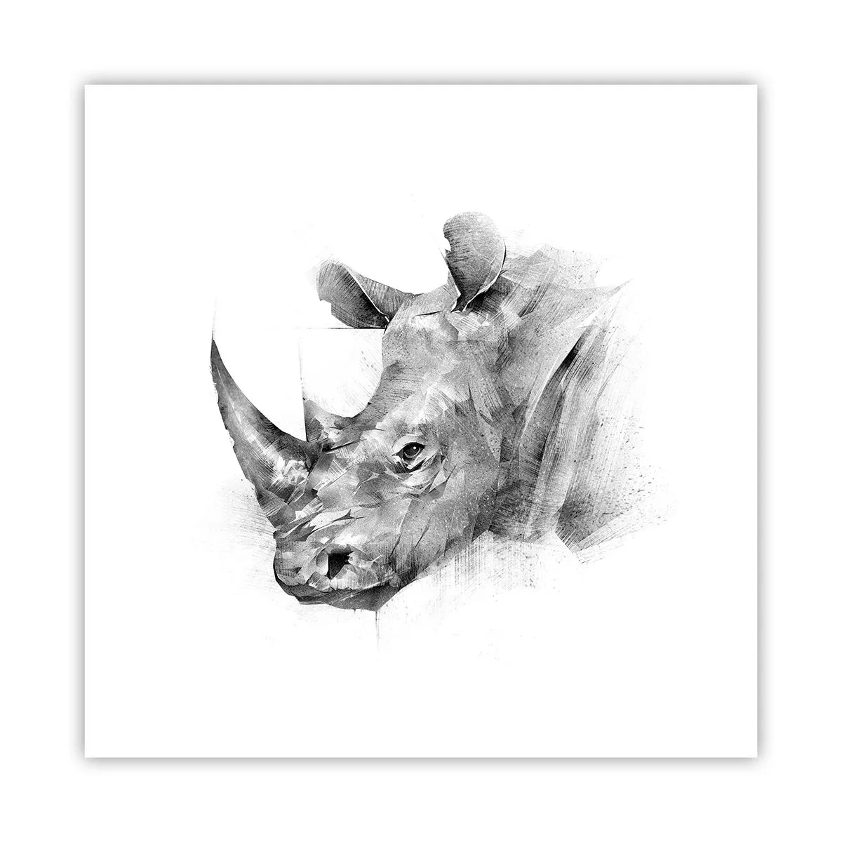 Poster - Ritratto africano - 30x30 cm