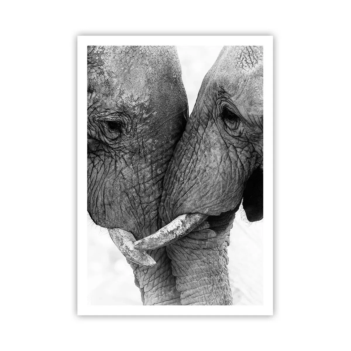 Poster - Dichiarazione sincera - 70x100 cm