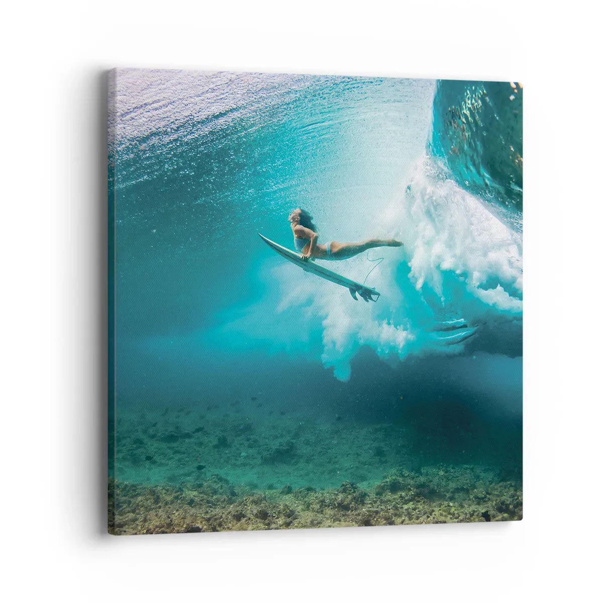 Quadro su tela - Stampe su Tela - Mondo subacqueo - 40x40 cm