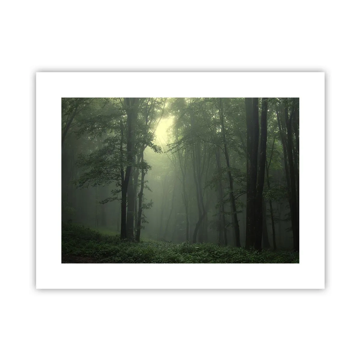 Poster - Prima che si svegli - 40x30 cm