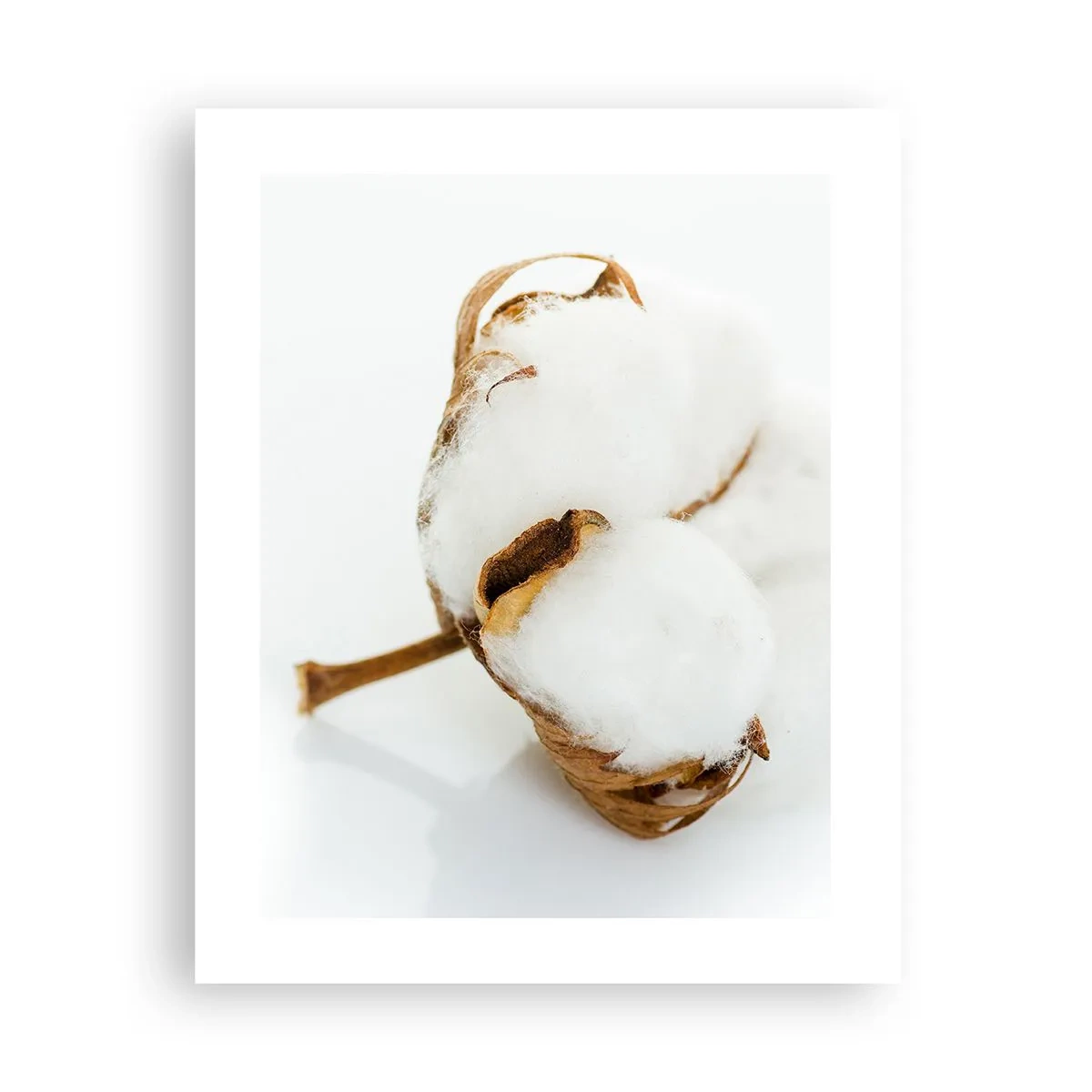 Poster - Naturalmente morbido - 40x50 cm