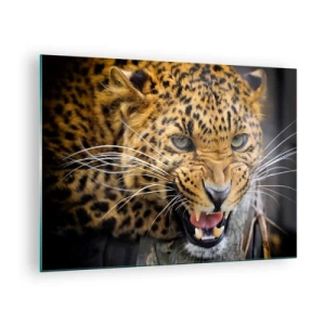 Quadro su vetro - Primo piano di un leopardo aggressivo con dettagli nitidi - 70x50cm - Non avvicinarti, ti avverto! - Decorazione murale moderna per soggiorno e camera da letto ARTTOR