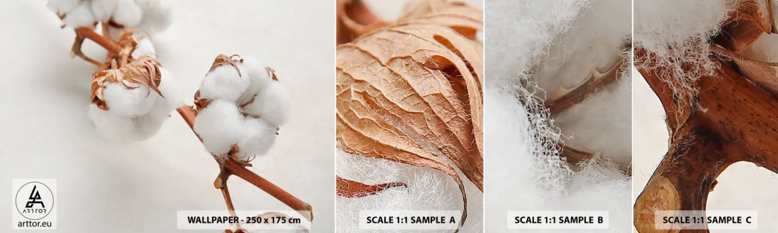 Campione Di Fotomurale Standard Eco - Semplicemente un abbraccio - Fiore di cotone, Fiore, Ramoscello di cotone - 100x30 cm