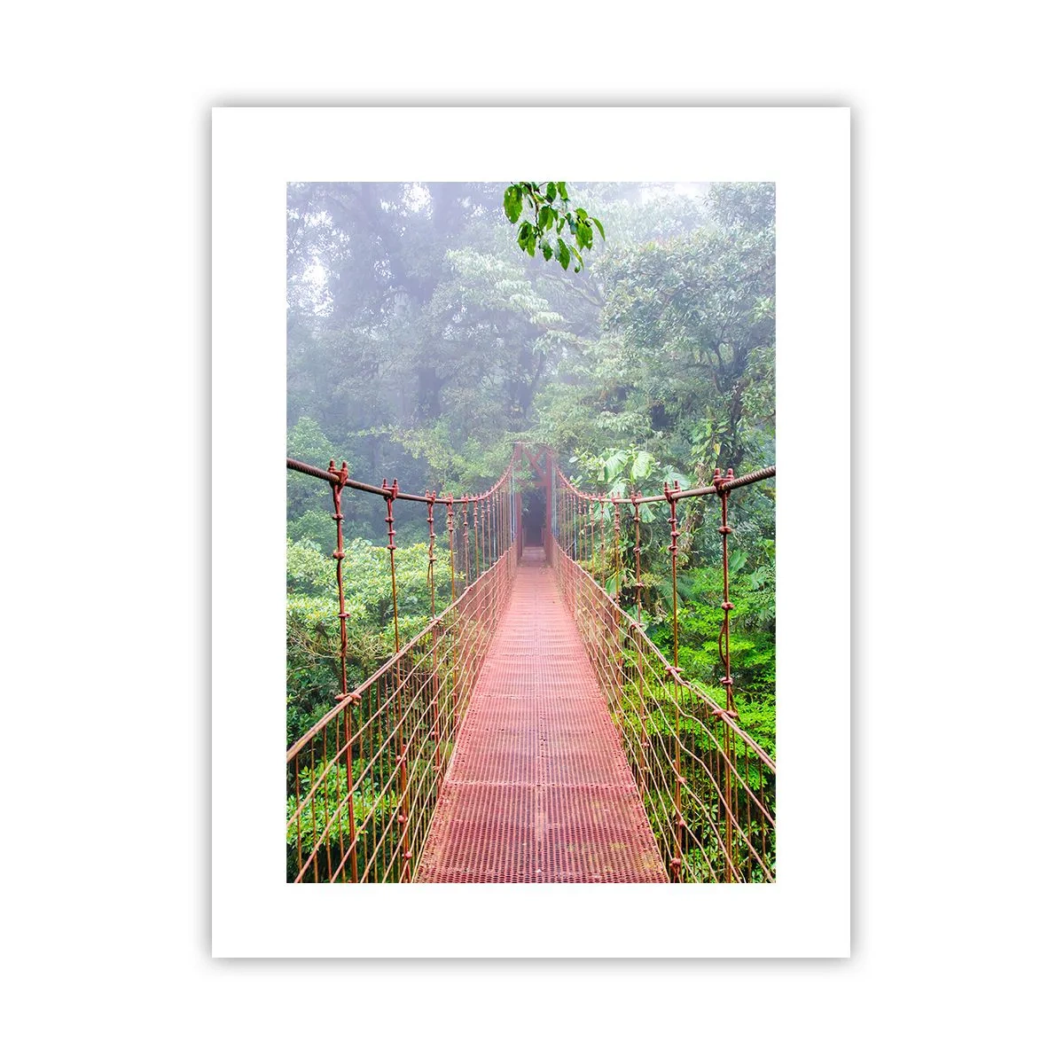 Poster - Sospeso sopra gli alberi - 30x40 cm