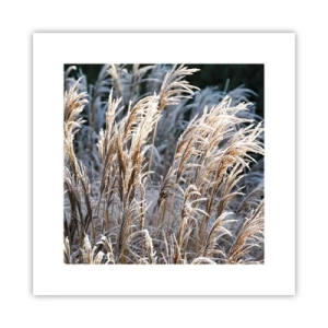 Poster - Vestite di brina - 30x30 cm
