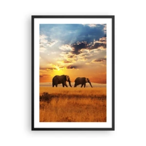 Poster in cornice nera - Elefanti che camminano al chiarore del sole al tramonto - 50x70cm - Passeggiata familiare - Decorazione murale moderna per soggiorno e camera da letto ARTTOR