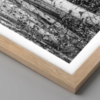 Rovere chiaro