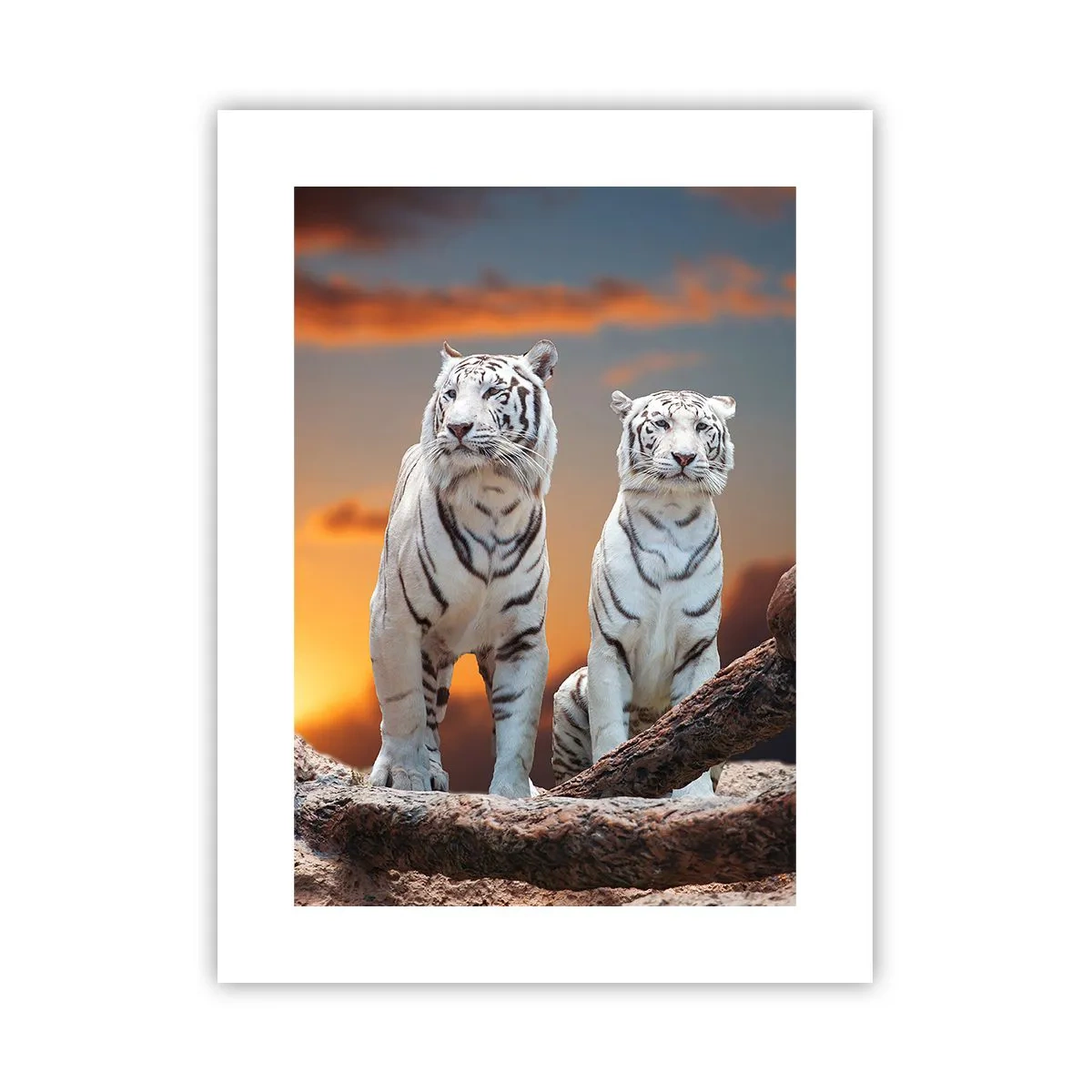 Poster - Proprio come a Narnia - 30x40 cm