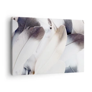 Quadro su tela - Stampe su Tela - Primo piano di piume delicate nelle tonalità del bianco e del grigio - 70x50cm - Quasi angeliche - Decorazione murale moderna per soggiorno e camera da letto ARTTOR