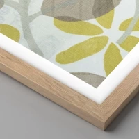 Rovere chiaro