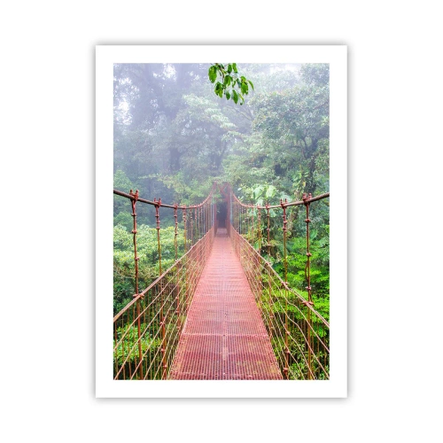 Poster - Un ponte sospeso in una foresta tropicale avvolta nella nebbia - 50x70cm - Sospeso sopra gli alberi - Decorazione murale moderna per soggiorno e camera da letto ARTTOR