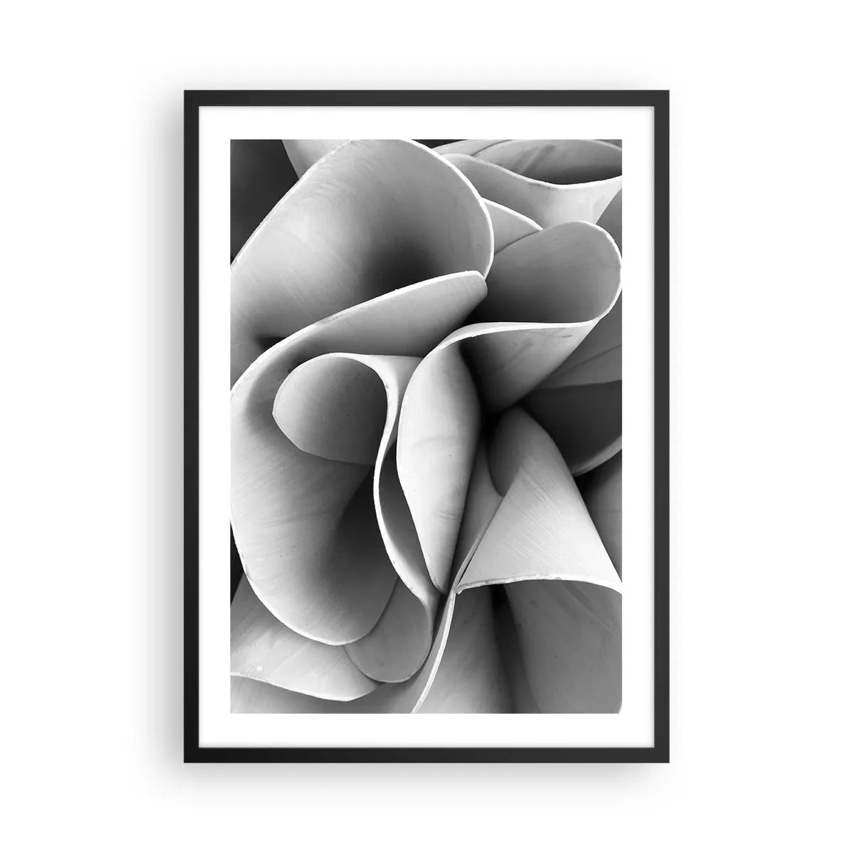 Poster in cornice nera - Petali astratti in tonalità di grigio - 50x70cm - Avviene nello spazio - Decorazione murale moderna per soggiorno e camera da letto ARTTOR