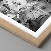 Rovere chiaro