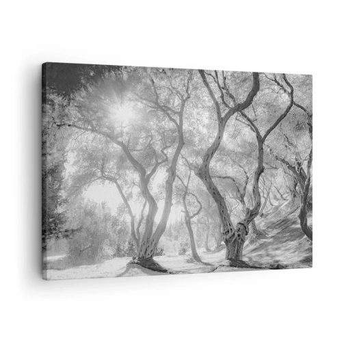 Quadro su tela - Stampe su Tela - Vista in bianco e nero degli alberi in un uliveto con raggi di sole - 70x50cm - Nell'orto degli ulivi - Decorazione murale moderna per soggiorno e camera da letto ARTTOR