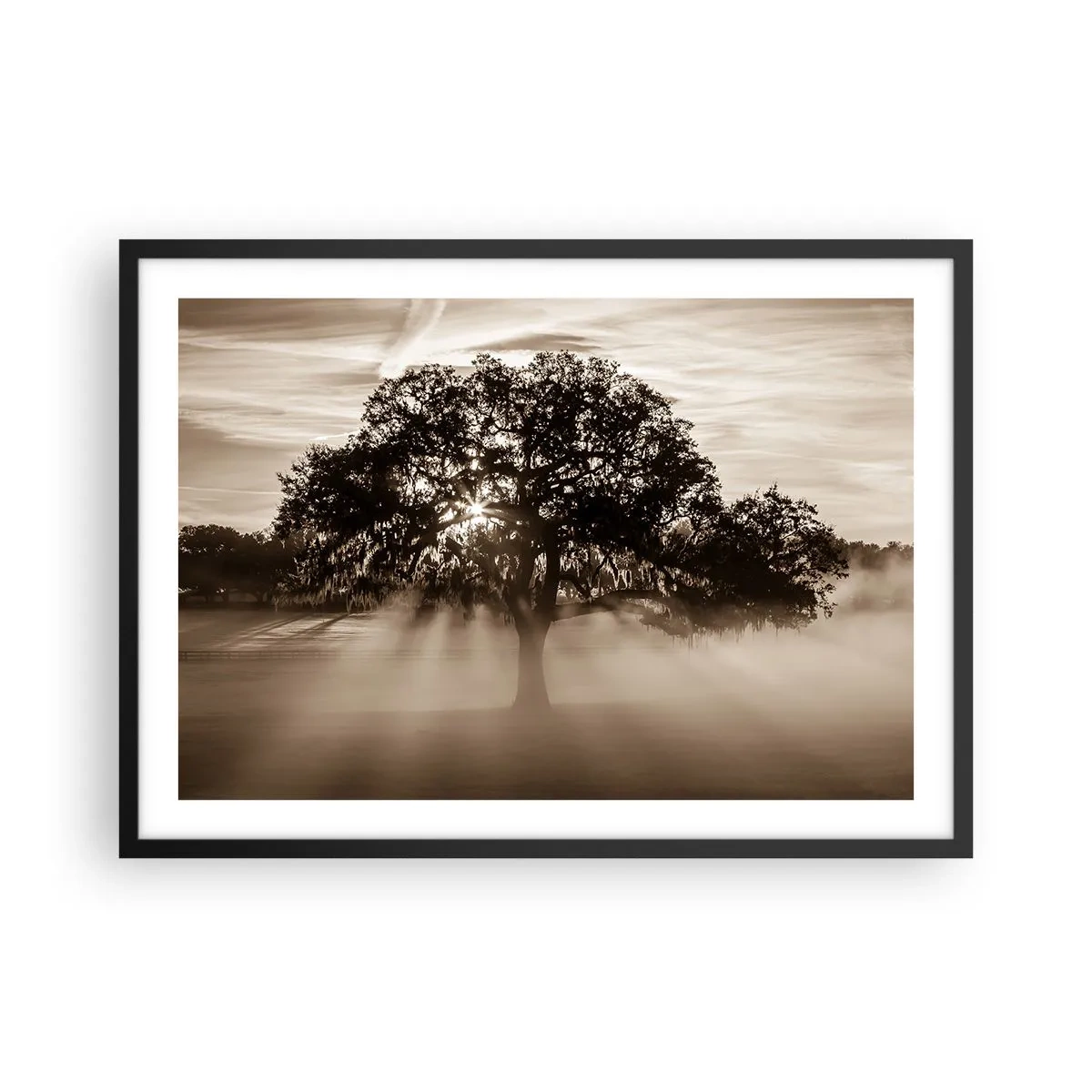 Poster in cornice nera - Raggi di sole che brillano attraverso un albero solitario - 70x50cm - L'albero delle sole buone notizie - Decorazione murale moderna per soggiorno e camera da letto ARTTOR