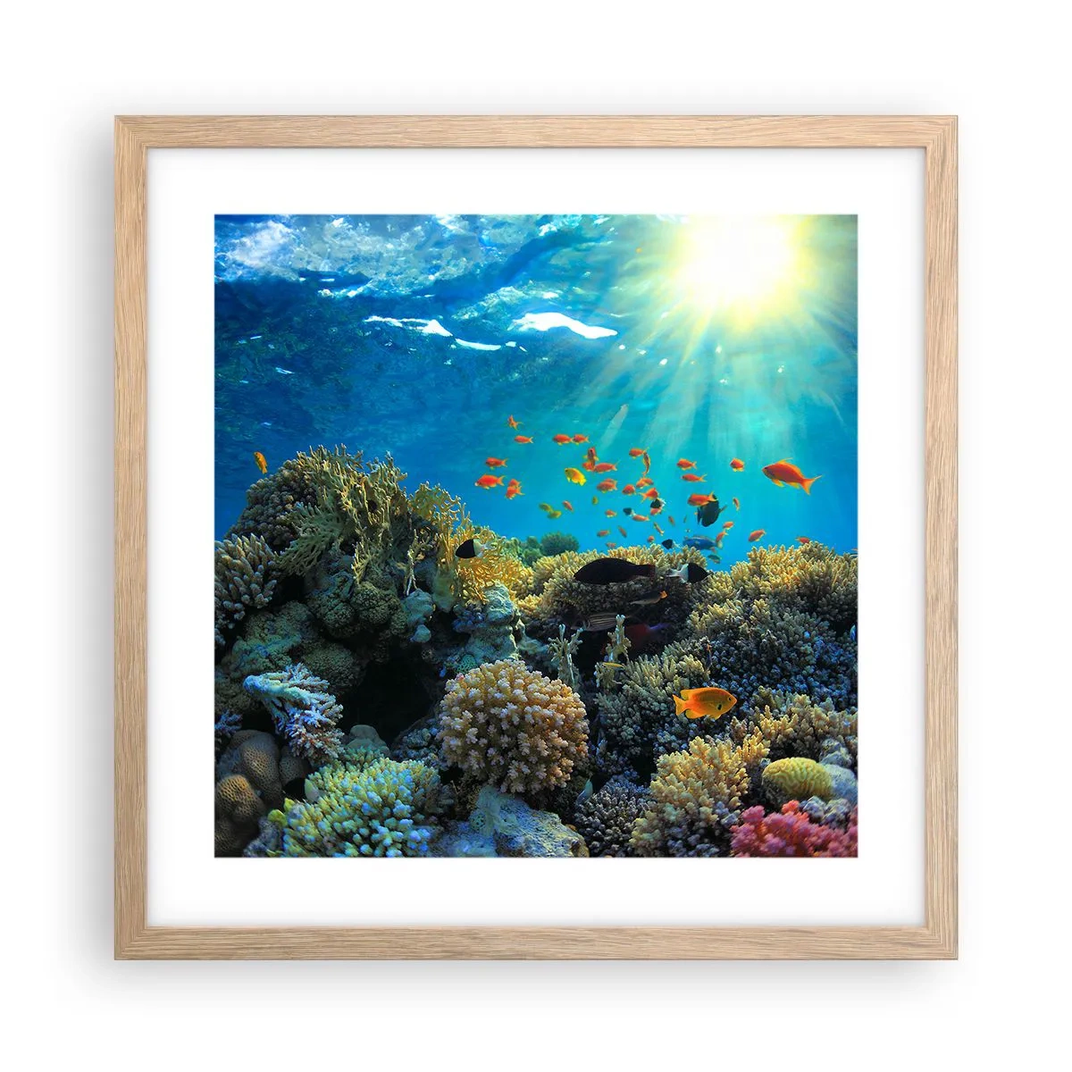 Poster in cornice rovere chiaro - Tesori sotto al mare - 40x40 cm