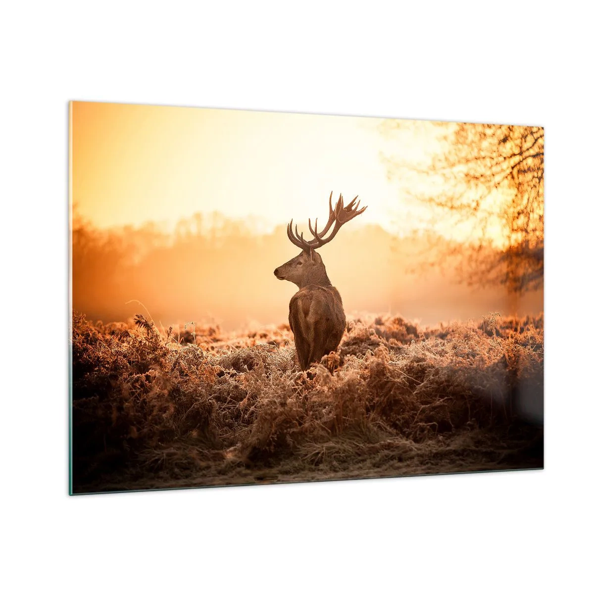 Quadro su vetro - Cervi sullo sfondo di un'alba in un paesaggio naturale - 100x70cm - Il signore sulle sue terre - Decorazione murale moderna per soggiorno e camera da letto ARTTOR