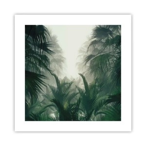 Poster - Mistero dei tropici - 40x40 cm