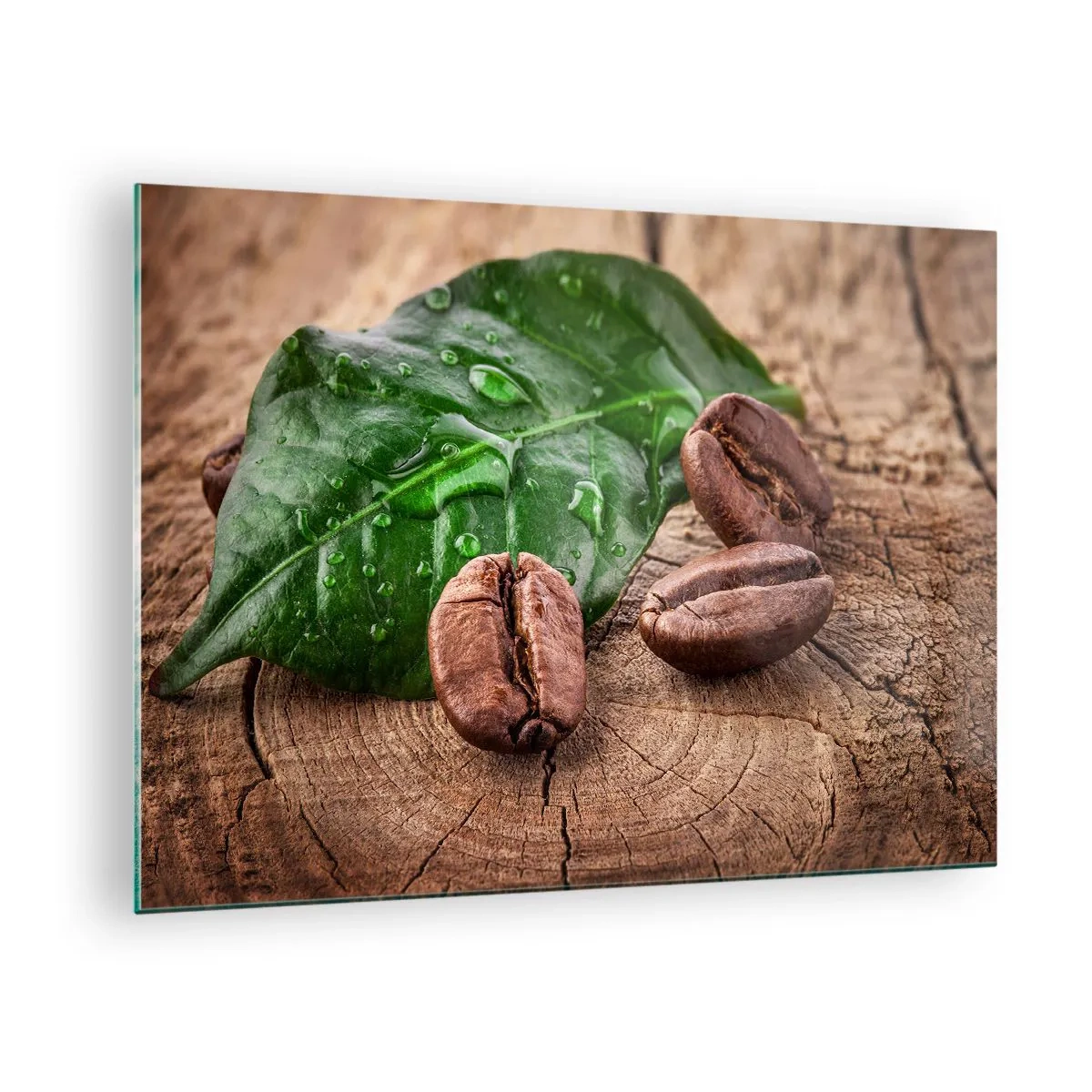 Quadro su vetro - Chicchi di caffè su uno sfondo di foglie e legno - 70x50cm - Nero e autentico - Decorazione murale moderna per soggiorno e camera da letto ARTTOR