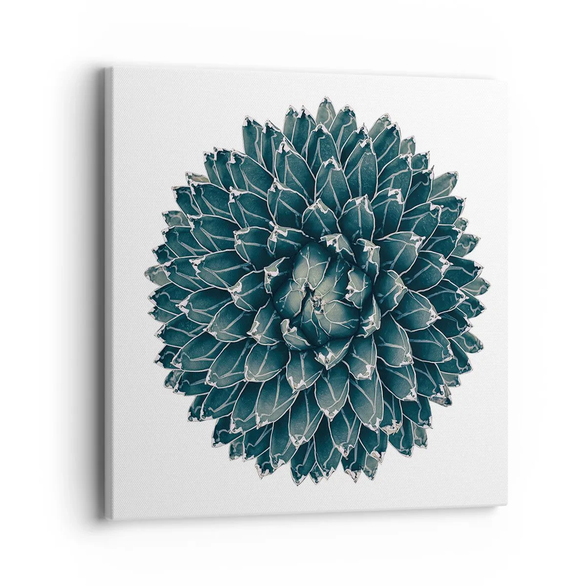 Quadro su tela - Stampe su Tela - La stella del deserto - 40x40 cm