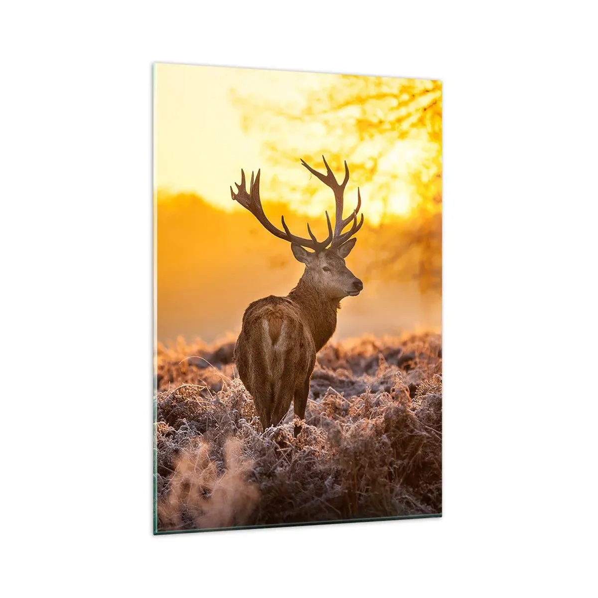 Quadro su vetro - Un cervo sullo sfondo di una foresta autunnale illuminata dal sole dorato - 80x120cm - Il re del bosco estivo - Decorazione murale moderna per soggiorno e camera da letto ARTTOR