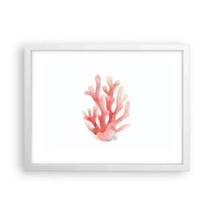 Poster in cornice bianca - Corallo color corallo - 40x30 cm