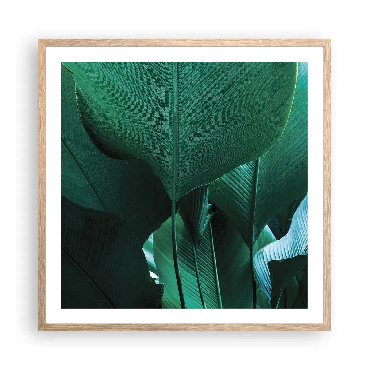 Poster in cornice rovere chiaro - Verso la luce - 60x60 cm