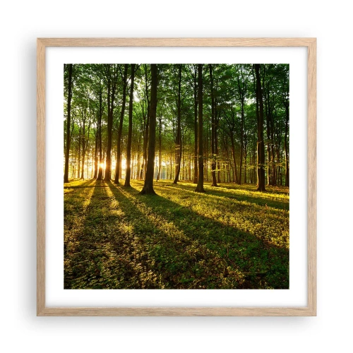 Poster in cornice rovere chiaro - La foto di ogni primavera - 50x50 cm
