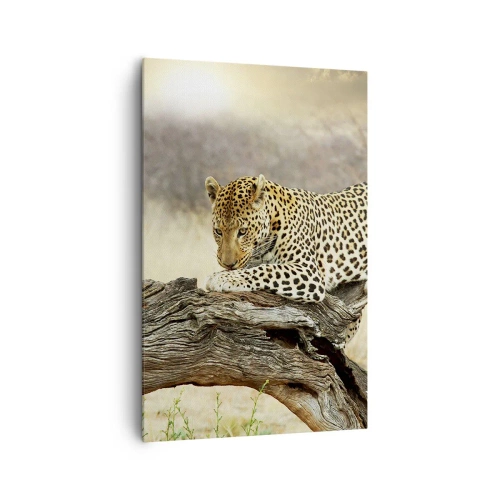 Quadro su tela - Stampe su Tela - Un leopardo che riposa sul tronco di un albero nella savana - 80x120cm - Vado per la mia strada - Decorazione murale moderna per soggiorno e camera da letto ARTTOR