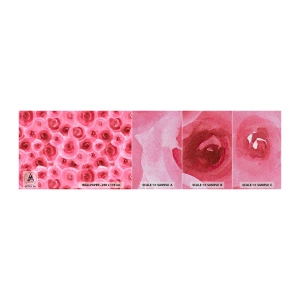 Campione di Fotomurale Premium Sand - Rose in alto e in basso - Fiori, Bellezza, Romanticismo - 100x30 cm