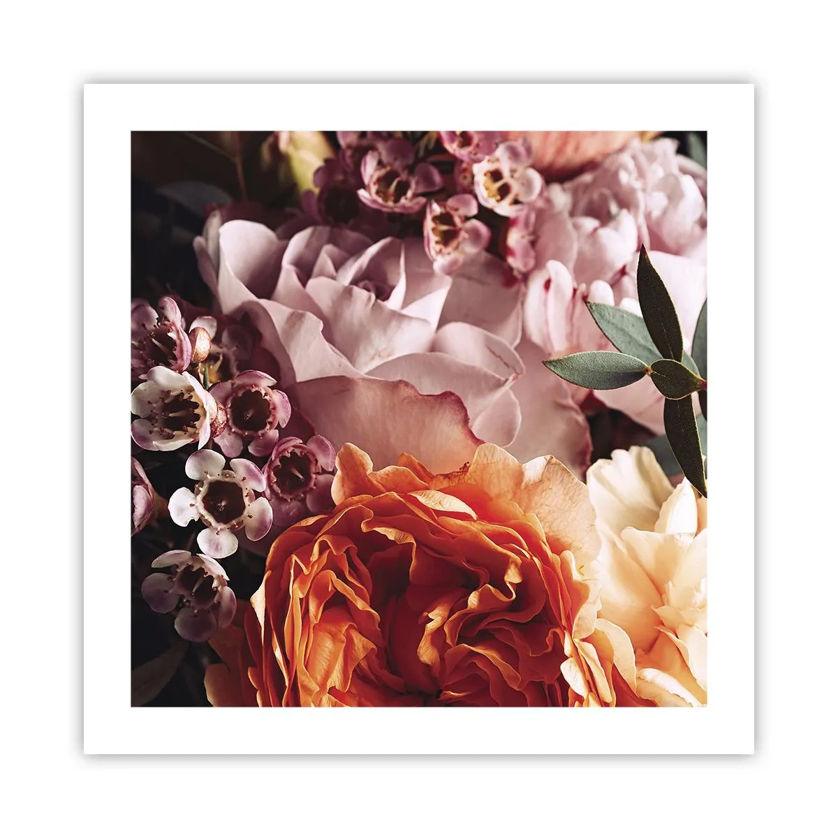 Poster - Avvolti dalla bellezza - 50x50 cm