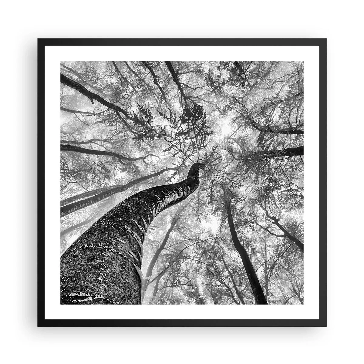 Poster in cornice nera - La corsa verso la luce - 60x60 cm