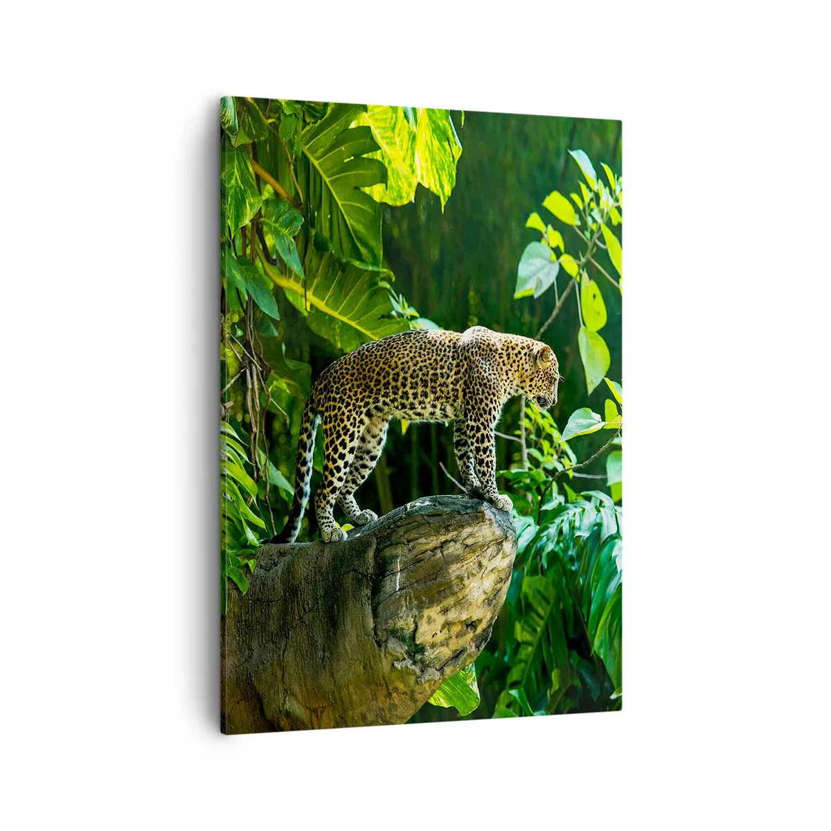 Quadro su tela - Stampe su Tela - Un leopardo in piedi su una roccia circondato da vegetazione tropicale - 50x70cm - A caccia? - Decorazione murale moderna per soggiorno e camera da letto ARTTOR
