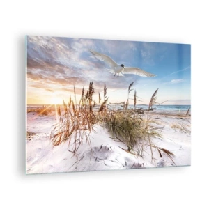 Quadro su vetro - Un uccello che vola sopra le dune al tramonto - 70x50cm - Vento dal mare - Decorazione murale moderna per soggiorno e camera da letto ARTTOR