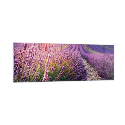 Quadro su vetro - Campo profumato - 90x30 cm