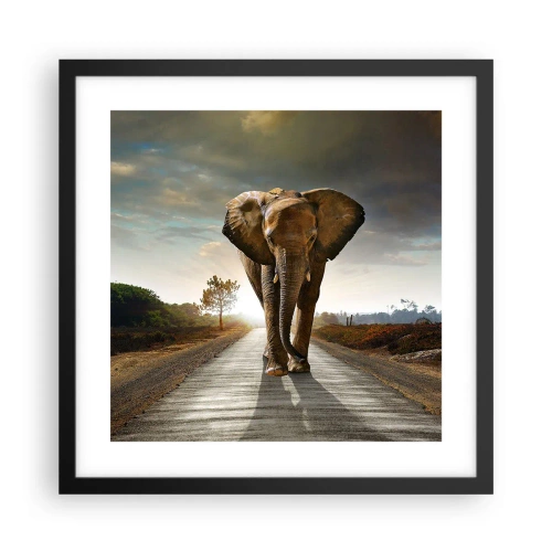 Poster in cornice nera - E non nel negozio di cristalli - 40x40 cm