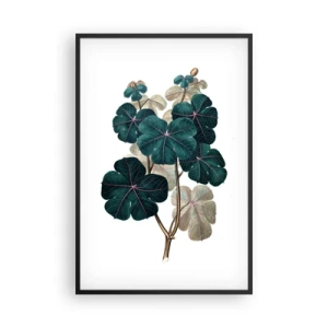 Poster in cornice nera - Dal vecchio erbario - 61x91 cm