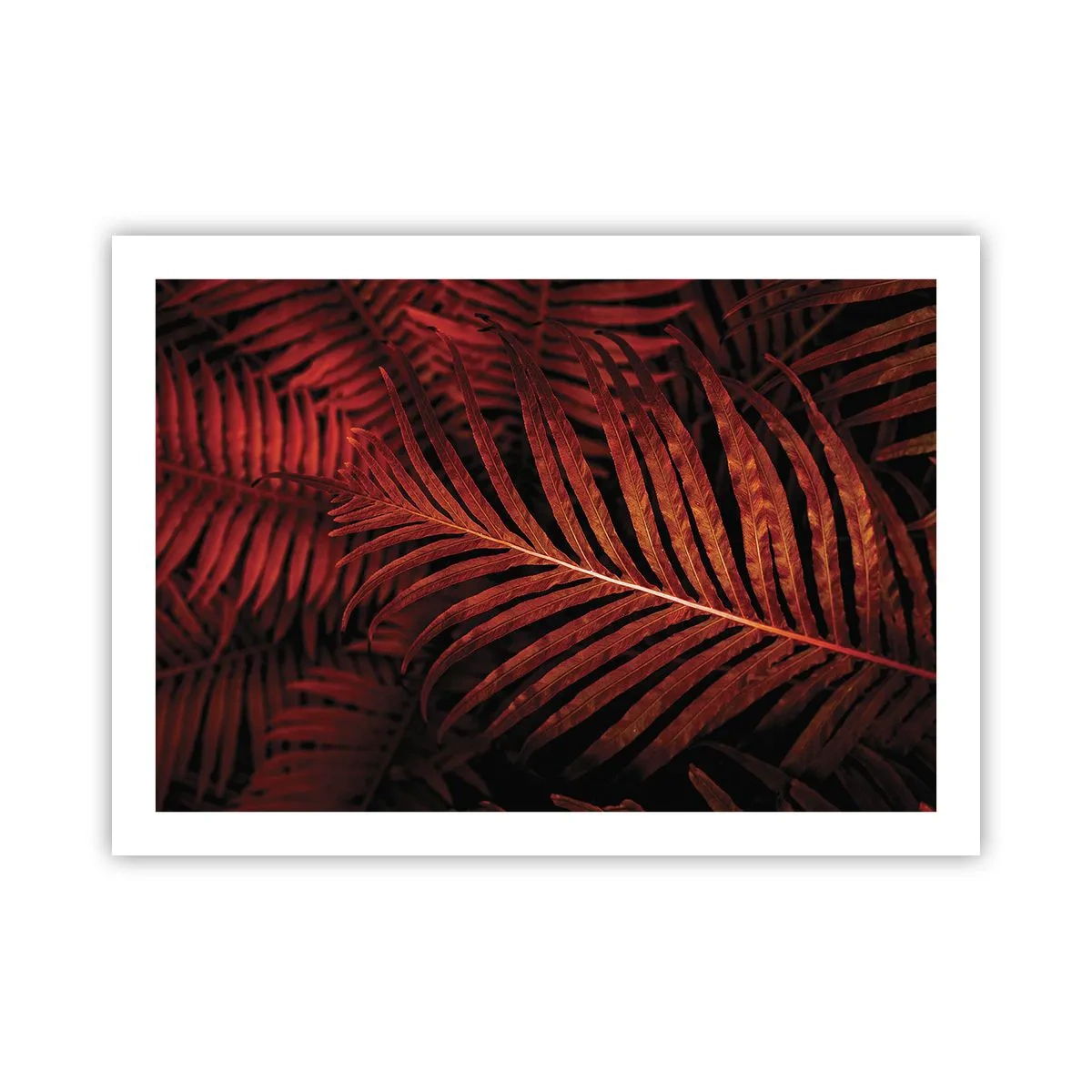 Poster - Il calore della vita - 70x50 cm