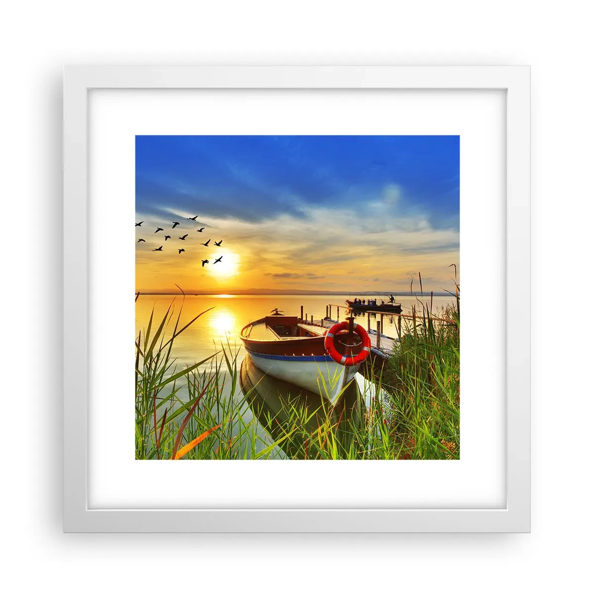 Poster in cornice bianca - I cormorano volano già via - 30x30 cm