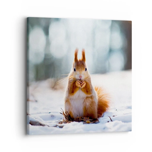 Quadro su tela - Stampe su Tela - Che cosa guardi? - 30x30 cm