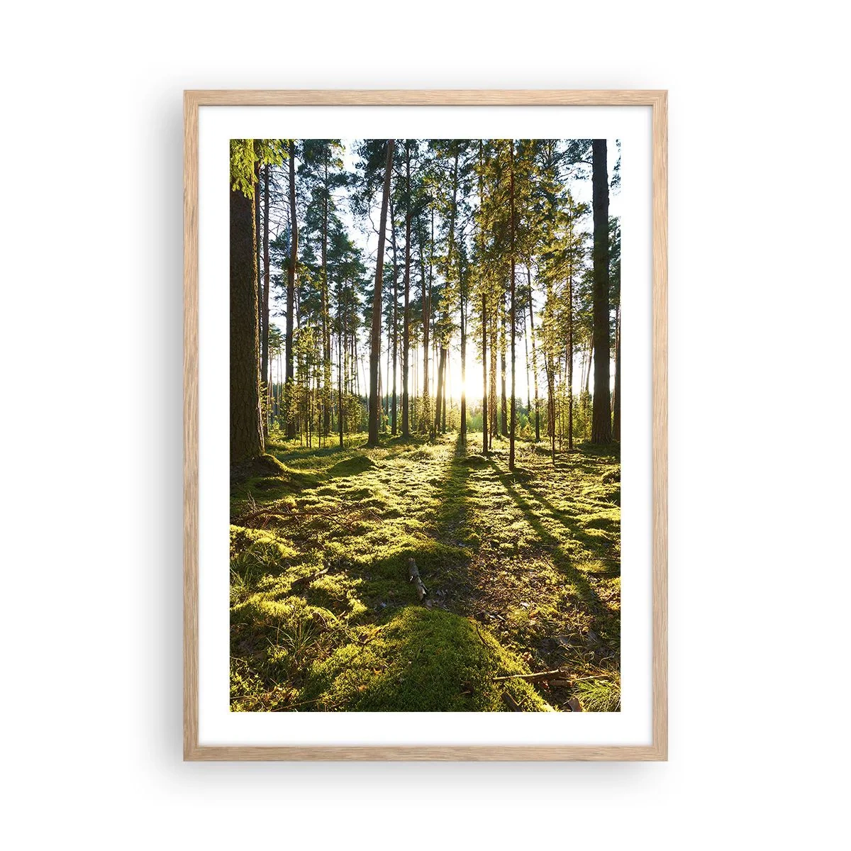 Poster in cornice rovere chiaro - …dopo sette foreste - 50x70 cm